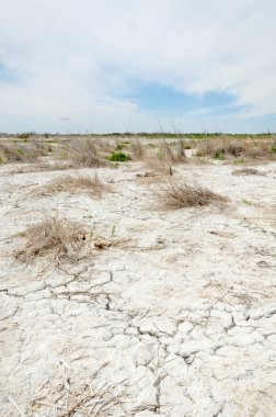 Bozkır tuzlu topraklar. tuz tuz tuz. Bozkır çayır veldt veld. Tuzlu toprak çöl, tuzlu Göller. cansız yanıp kavrulmuş dünyamız. Kazakistan çıplak bozkır