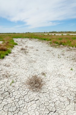 Bozkır tuzlu topraklar. tuz tuz tuz. Bozkır çayır veldt veld. Tuzlu toprak çöl, tuzlu Göller. cansız yanıp kavrulmuş dünyamız. Kazakistan çıplak bozkır