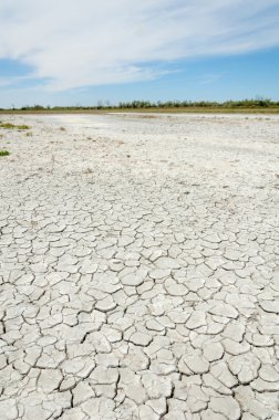 Bozkır tuzlu topraklar. tuz tuz tuz. Bozkır çayır veldt veld. Tuzlu toprak çöl, tuzlu Göller. cansız yanıp kavrulmuş dünyamız. Kazakistan çıplak bozkır
