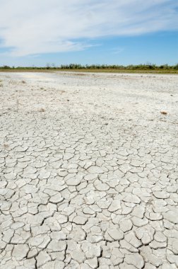 Bozkır tuzlu topraklar. tuz tuz tuz. Bozkır çayır veldt veld. Tuzlu toprak çöl, tuzlu Göller. cansız yanıp kavrulmuş dünyamız. Kazakistan çıplak bozkır