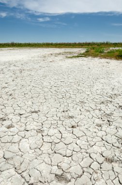 Bozkır tuzlu topraklar. tuz tuz tuz. Bozkır çayır veldt veld. Tuzlu toprak çöl, tuzlu Göller. cansız yanıp kavrulmuş dünyamız. Kazakistan çıplak bozkır
