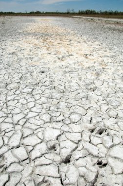 Bozkır tuzlu topraklar. tuz tuz tuz. Bozkır çayır veldt veld. Tuzlu toprak çöl, tuzlu Göller. cansız yanıp kavrulmuş dünyamız. Kazakistan çıplak bozkır