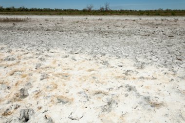 Bozkır tuzlu topraklar. tuz tuz tuz. Bozkır çayır veldt veld. Tuzlu toprak çöl, tuzlu Göller. cansız yanıp kavrulmuş dünyamız. Kazakistan çıplak bozkır