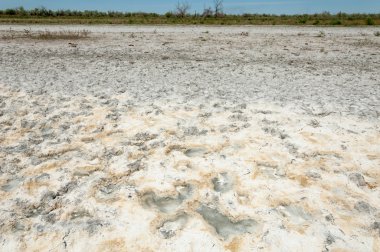Bozkır tuzlu topraklar. tuz tuz tuz. Bozkır çayır veldt veld. Tuzlu toprak çöl, tuzlu Göller. cansız yanıp kavrulmuş dünyamız. Kazakistan çıplak bozkır