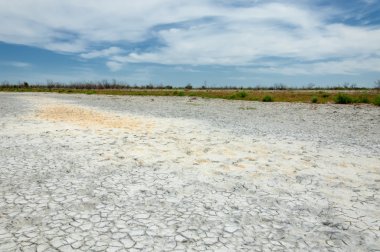 Bozkır tuzlu topraklar. tuz tuz tuz. Bozkır çayır ve