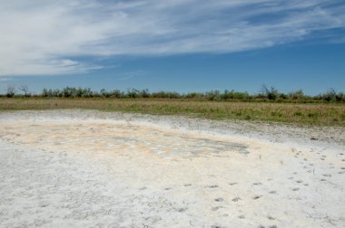 Bozkır tuzlu topraklar. tuz tuz tuz. Bozkır çayır ve