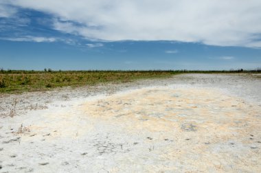 Bozkır tuzlu topraklar. tuz tuz tuz. Bozkır çayır ve