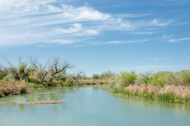 Bozkır nehir sazlık yaz