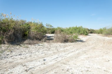 Bozkır tuzlu topraklar. tuz tuz tuz. Bozkır çayır ve