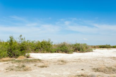 Bozkır tuzlu topraklar. tuz tuz tuz. Bozkır çayır ve