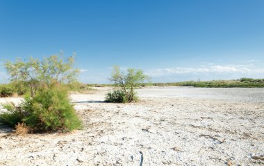 Bozkır tuzlu topraklar. tuz tuz tuz. Bozkır çayır ve