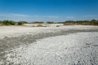 Bozkır tuzlu topraklar. tuz tuz tuz. Bozkır çayır ve