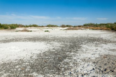Bozkır tuzlu topraklar. tuz tuz tuz. Bozkır çayır veldt veld. Tuzlu toprak çöl, tuzlu Göller. cansız yanıp kavrulmuş dünyamız. Kazakistan çıplak bozkır