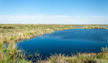 Güzel gökyüzü altında küçük bir göl. Bozkır içinde bataklıkta ile güzel yaz günü manzara. Göl sahnesinde yaz