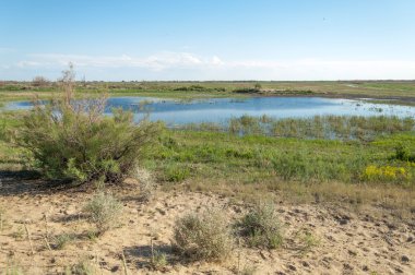 Olay yerinde bozkır gölde akşam güzel gökyüzü altında küçük bir göl