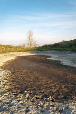 Bozkır tuzlu topraklar. tuz tuz tuz. Bozkır çayır ve