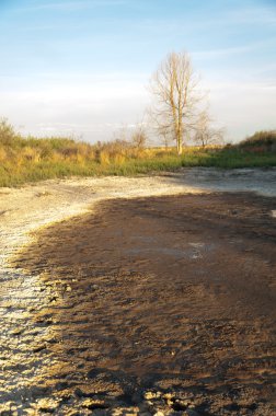 Bozkır tuzlu topraklar. tuz tuz tuz. Bozkır çayır veldt veld. Tuzlu toprak çöl, tuzlu Göller. cansız yanıp kavrulmuş dünyamız. Kazakistan çıplak bozkır