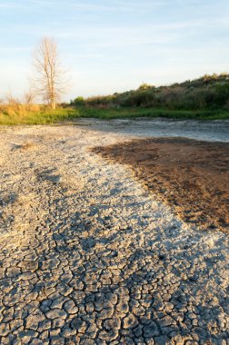 Steppe saline soils. saline  salt  in salt.  steppe  prairie  veldt veld. Saline soils of the desert, salt lakes,.  lifeless scorched earth. bare steppe of Kazakhstan clipart