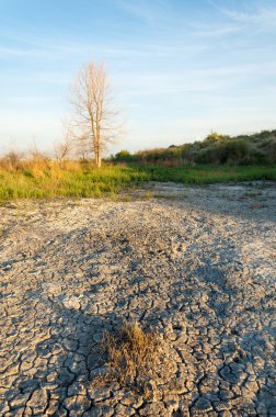 Bozkır tuzlu topraklar. tuz tuz tuz. Bozkır çayır veldt veld. Tuzlu toprak çöl, tuzlu Göller. cansız yanıp kavrulmuş dünyamız. Kazakistan çıplak bozkır