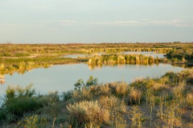 Olay yerinde bozkır gölde akşam güzel gökyüzü altında küçük bir göl