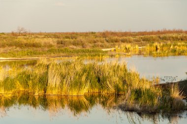 Olay yerinde bozkır gölde akşam güzel gökyüzü altında küçük bir göl