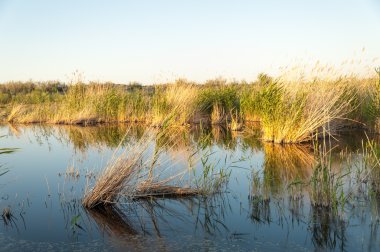 Olay yerinde bozkır gölde akşam güzel gökyüzü altında küçük bir göl
