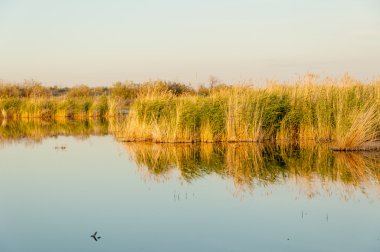Olay yerinde bozkır gölde akşam güzel gökyüzü altında küçük bir göl