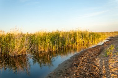 Güzel gökyüzü altında küçük bir göl. akşam olay yerinde bozkır, yatay, bozkır güzel yaz gün bataklıkta gölde. Göl sahnesinde yaz