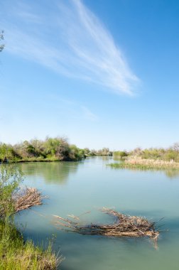 Bozkır nehir sazlık yaz