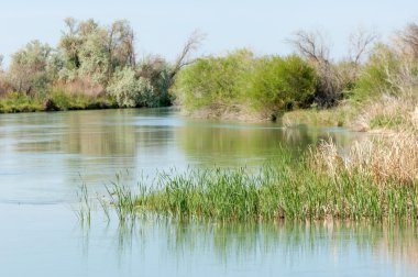 Bozkır nehir sazlık yaz