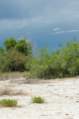 Bozkır tuzlu topraklar. tuz tuz tuz. Bozkır çayır ve
