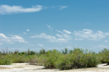 Bozkır tuzlu topraklar. tuz tuz tuz. Bozkır çayır veldt veld. Tuzlu toprak çöl, tuzlu Göller. cansız yanıp kavrulmuş dünyamız. Kazakistan çıplak bozkır