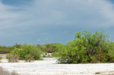Bozkır tuzlu topraklar. tuz tuz tuz. Bozkır çayır veldt veld. Tuzlu toprak çöl, tuzlu Göller. cansız yanıp kavrulmuş dünyamız. Kazakistan çıplak bozkır