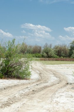 Bozkır tuzlu topraklar. tuz tuz tuz. Bozkır çayır ve