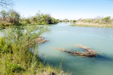 Bozkır nehir sazlık yaz. nehir görünümünde kez izlendi. küçük mavi nehir kıyısında güneşli bir gün