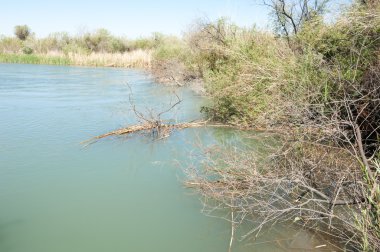 Bozkır nehir sazlık yaz. nehir görünümünde kez izlendi. küçük mavi nehir kıyısında güneşli bir gün