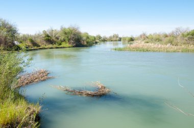 Bozkır nehir sazlık yaz. nehir görünümünde kez izlendi. küçük mavi nehir kıyısında güneşli bir gün