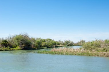 Bozkır nehir sazlık yaz. nehir görünümünde kez izlendi. küçük mavi nehir kıyısında güneşli bir gün