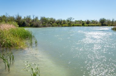 Bozkır nehir sazlık yaz