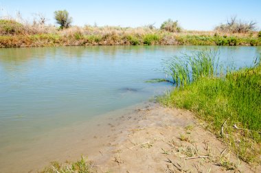 Bozkır nehir sazlık yaz