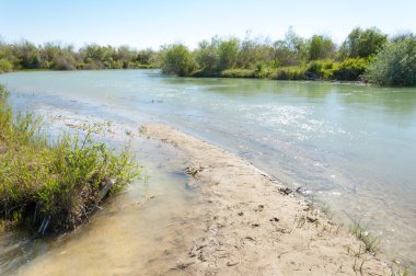 Bozkır nehir sazlık yaz. nehir görünümünde kez izlendi. küçük mavi nehir kıyısında güneşli bir gün
