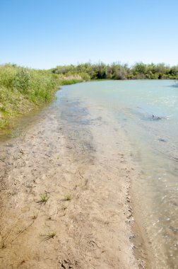 Bozkır nehir sazlık yaz. nehir görünümünde kez izlendi. küçük mavi nehir kıyısında güneşli bir gün