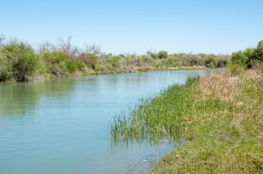 Bozkır nehir sazlık yaz. nehir görünümünde kez izlendi. küçük mavi nehir kıyısında güneşli bir gün