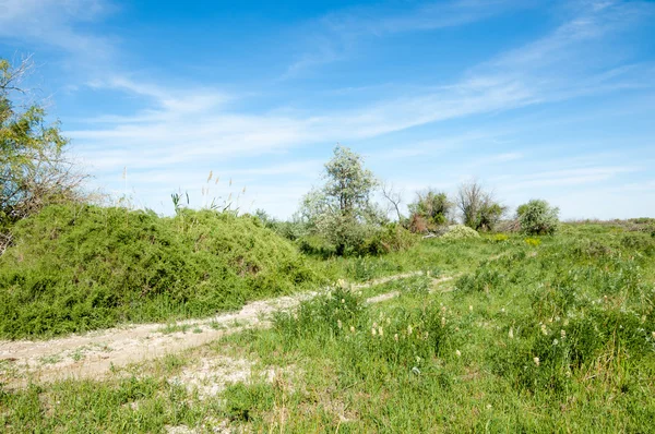 Stäppen, prairie, veldt, veld flodslätten — Stockfoto