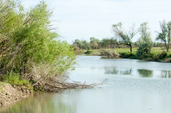 Stäppen Floden Vassen Sommaren Visningar Vyn Floden Liten Blå Flod — Stockfoto