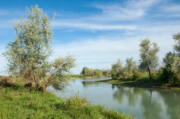 Bozkır nehir sazlık yaz