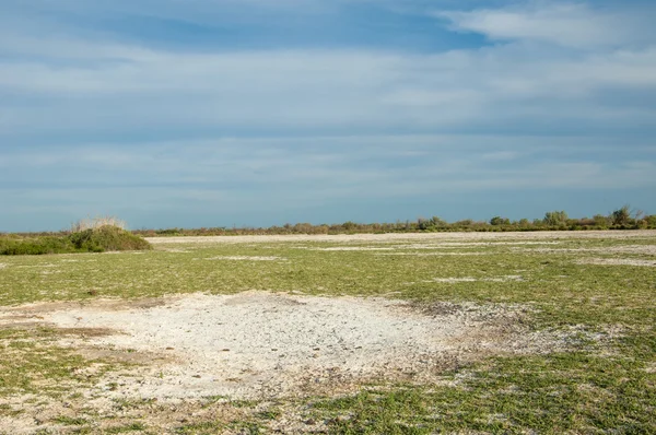 Steppe Tanah Garam Garam Asin Dalam Garam Padang Rumput Stepa — Stok Foto