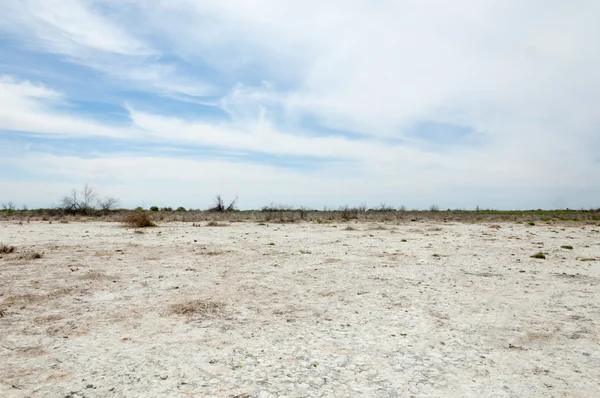 Stäppen saltlösning jordar. saltlösning salt i salt. stäppen prairie ve — Stockfoto