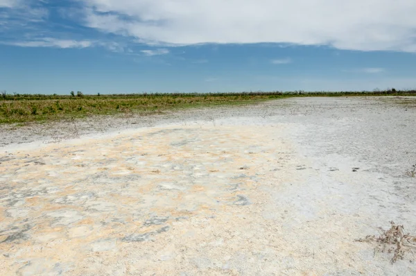 Steppe sols salins. sel salin dans le sel. steppe prairie ve — Photo