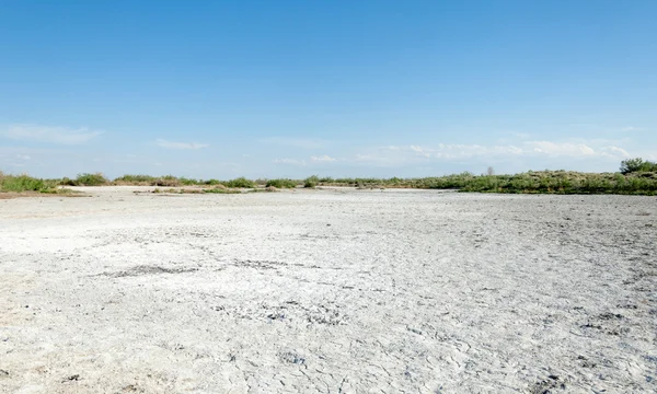 Steppe saline soils. saline  salt  in salt.  steppe  prairie  ve — Stock Photo, Image